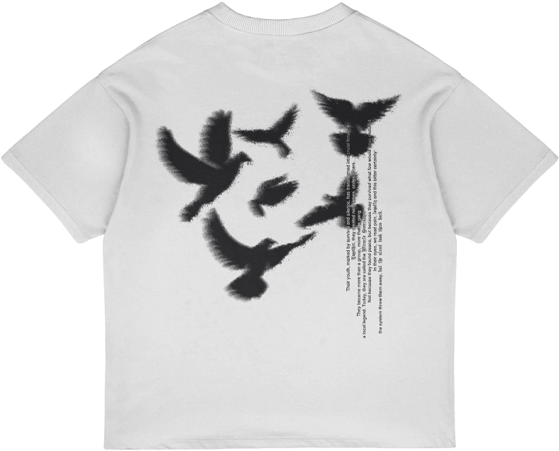 PACK "GÉNÉRATION MIRACLE" ALBUM + TSHIRT (BLANC) 🕊️
